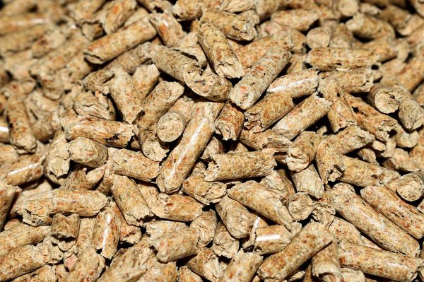Les secrets pour trouver des pellets de qualité supérieure